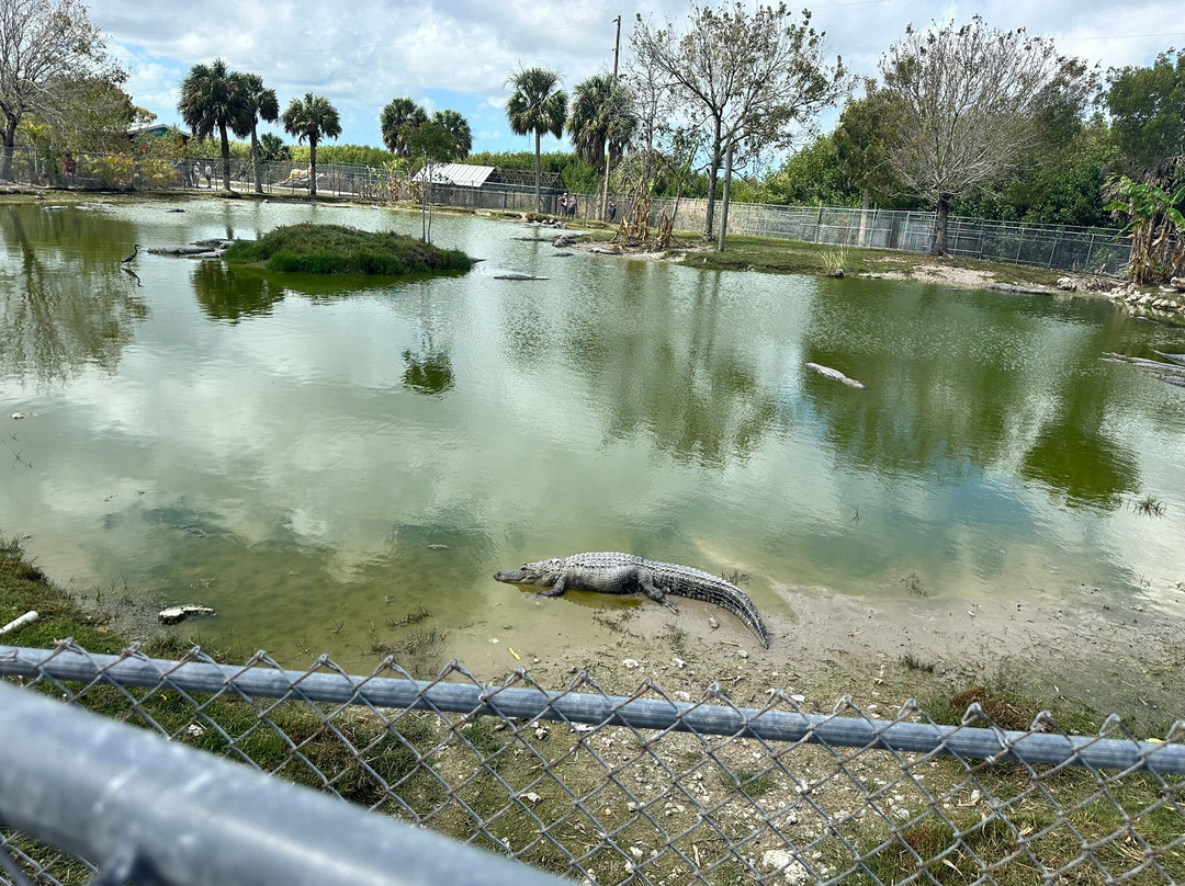 Wooten's Everglades Airboat Tour-奥乔皮必去景点