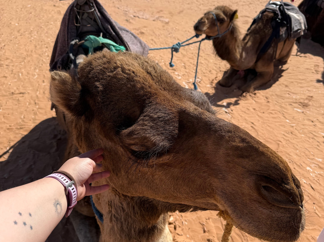 Make Morocco Tours-丹吉尔必去景点