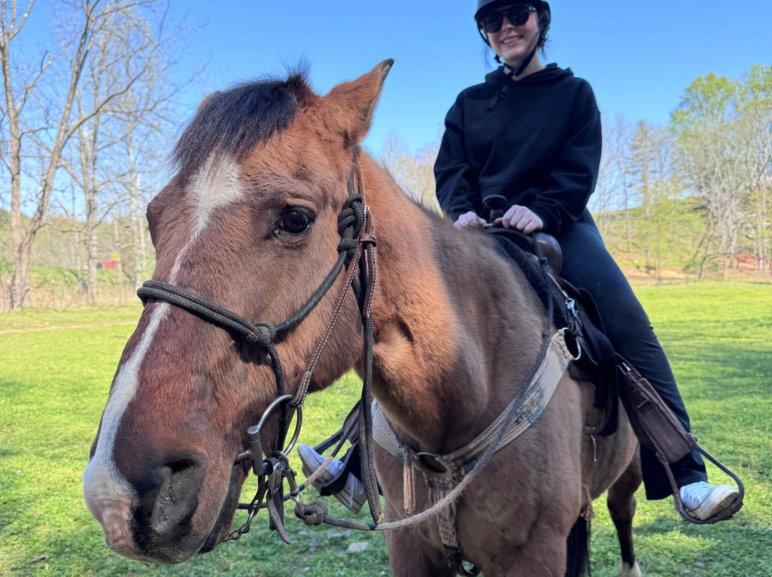 Cowgirl Up Stables-Cherry Log必去景点