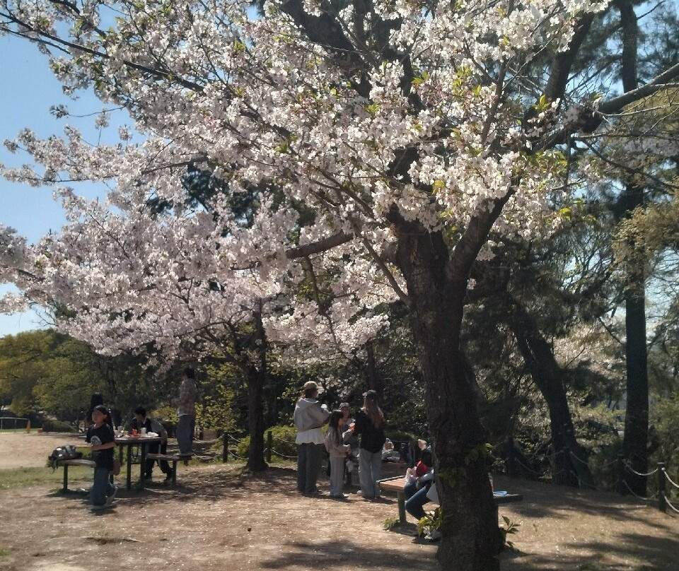 Hattori Ryokuchi Park-丰中市必去景点