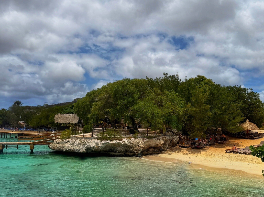 梦想库拉索度假酒店/水疗中心及娱乐场 - 全包式主图