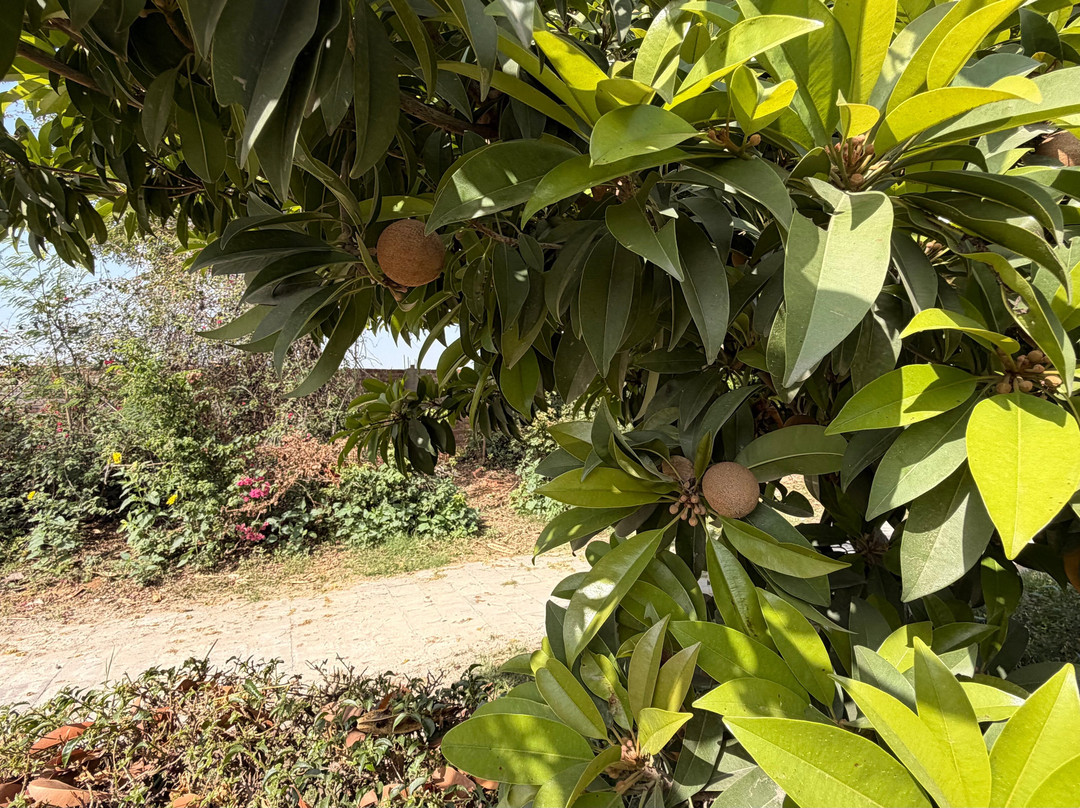 Karma Lakelands Golf Resort & Residences主图