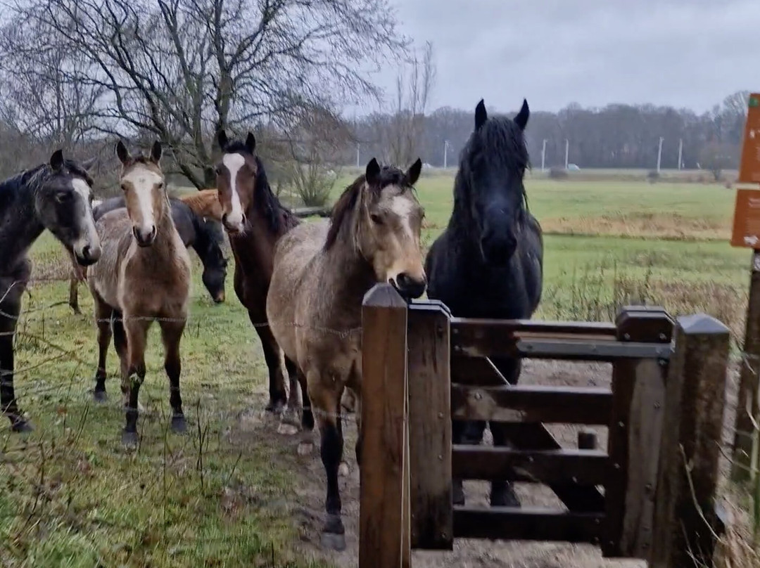 Renkumse Beekdal-Renkum必去景点