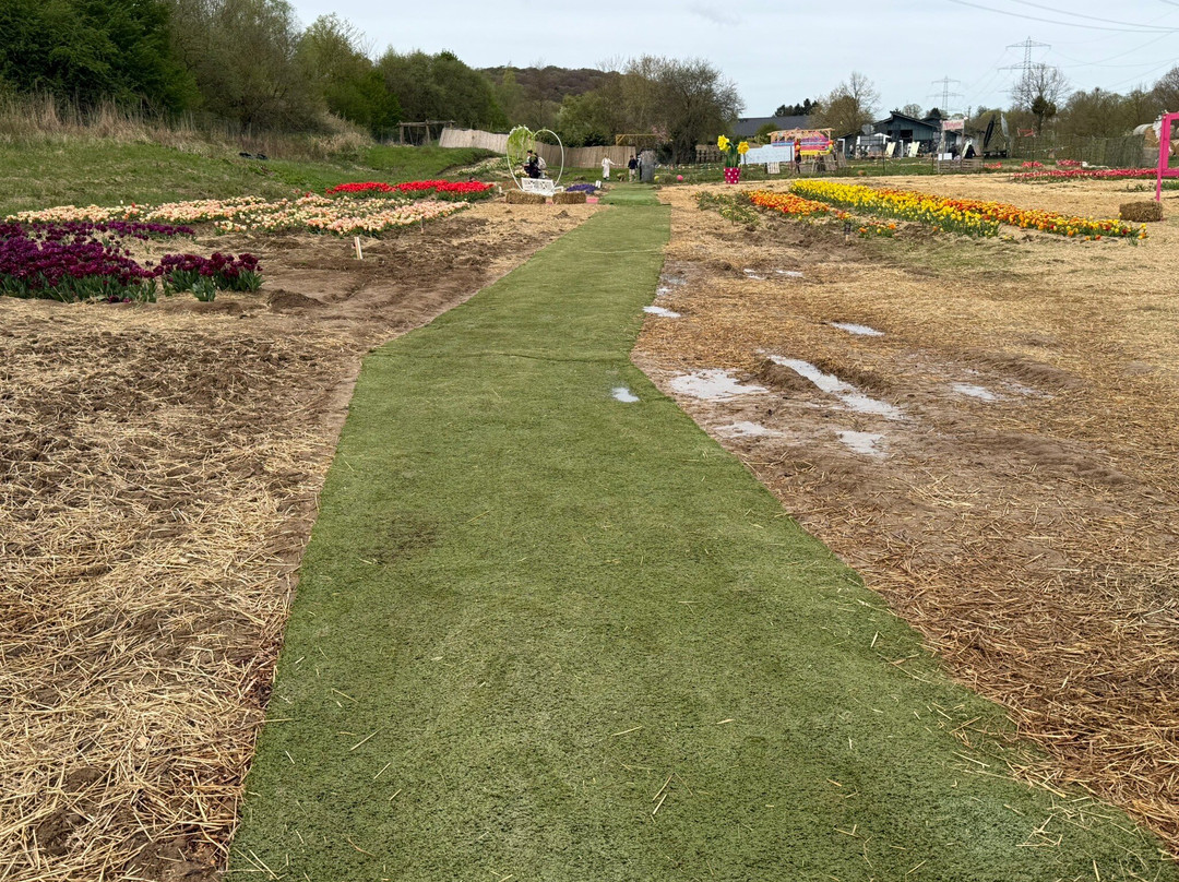 Krewelshof-Lohmar必去景点