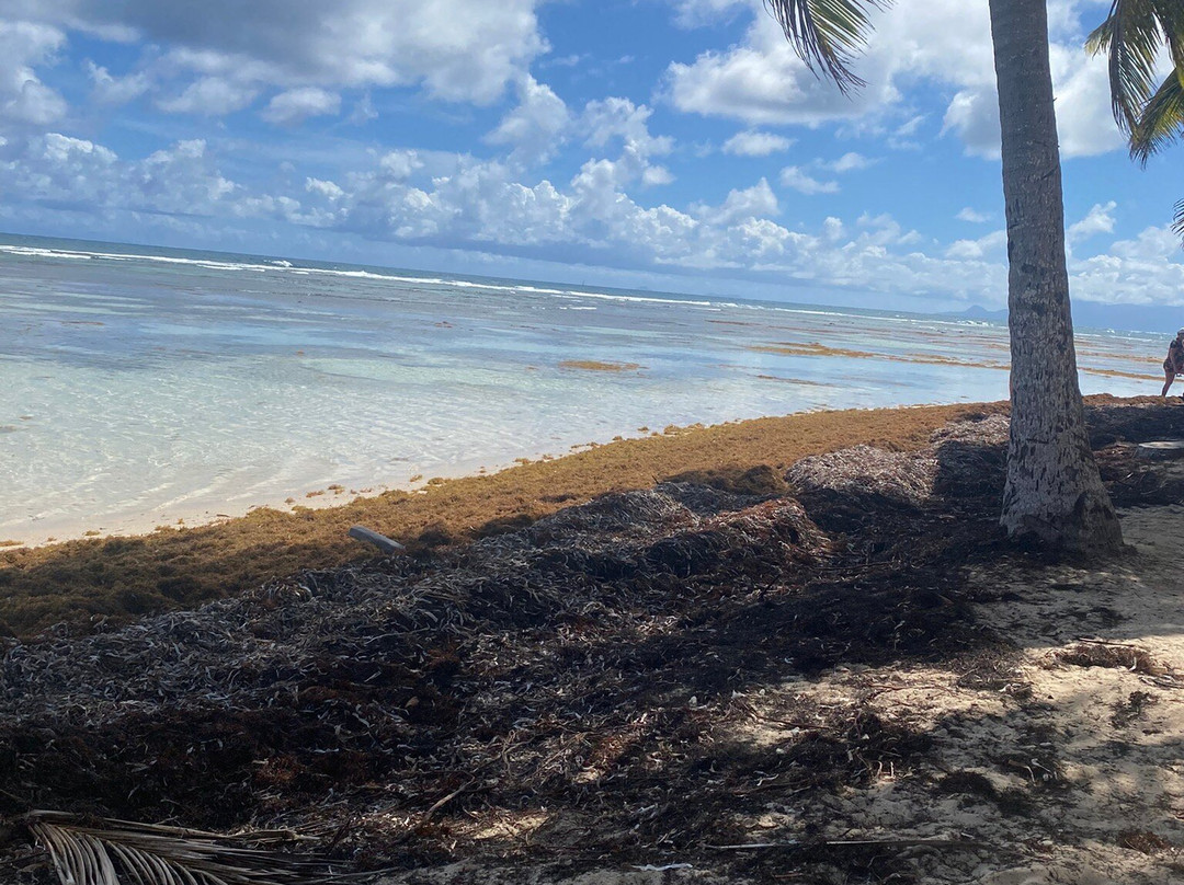Plage de Bois Jolan-Sainte-Anne必去景点