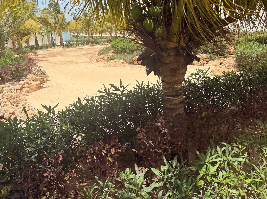 丽笙宫殿酒店博阿维斯塔 - 全包主图