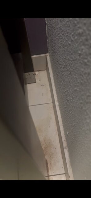 约克拉昆塔温德姆套房酒店主图
