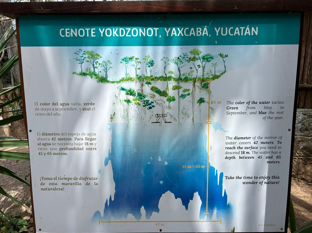 Cenote Yokdzonot-Yokdzonot必去景点
