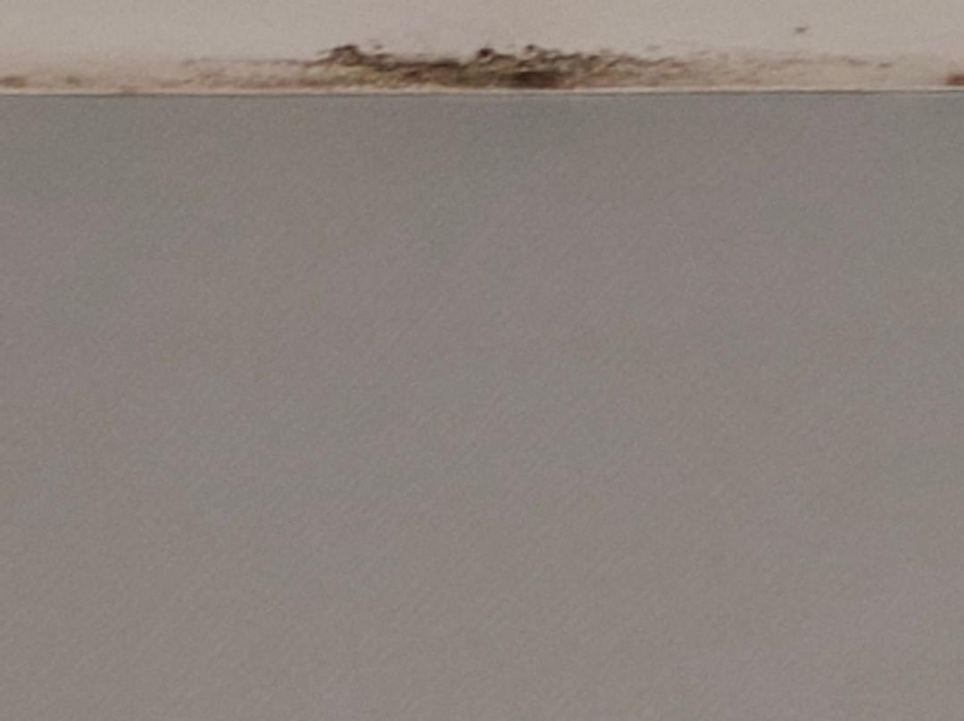 克莱伯酒店主图