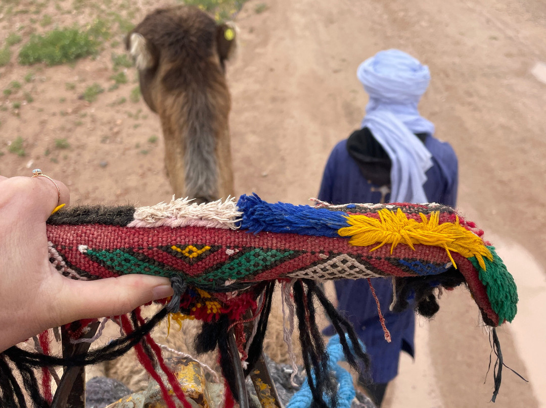 Kasbah Tours-卡萨布兰卡必去景点