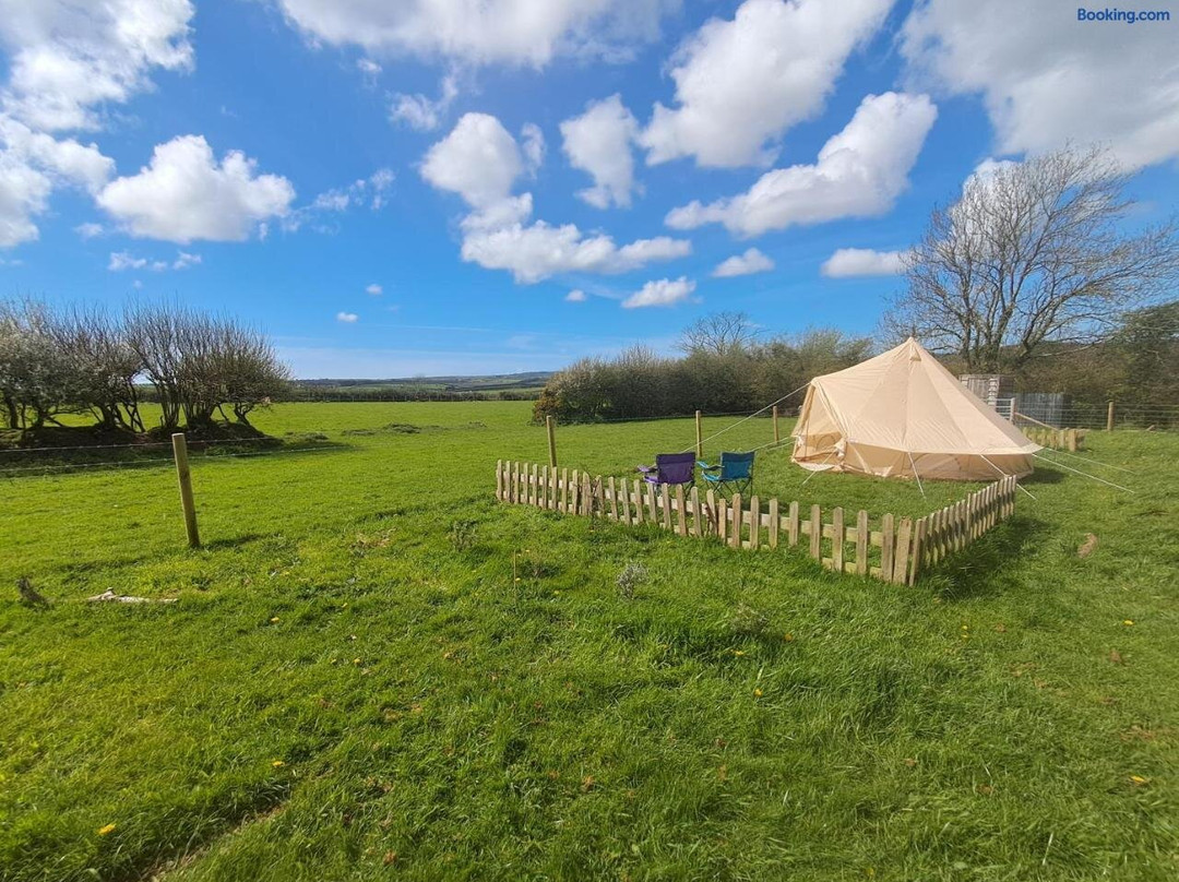 Maisie's Campsite