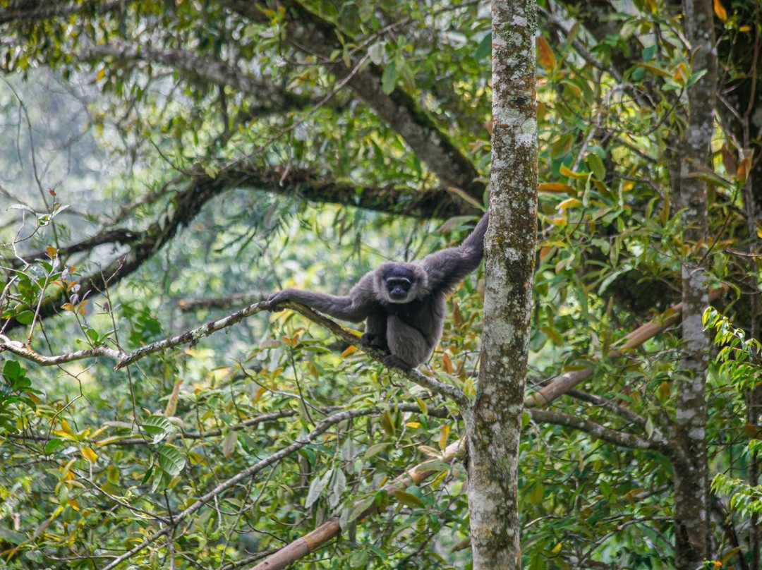 Ujung Kulon Ecotourism-Ujungjaya必去景点