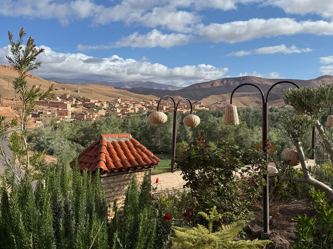 Palm Dades