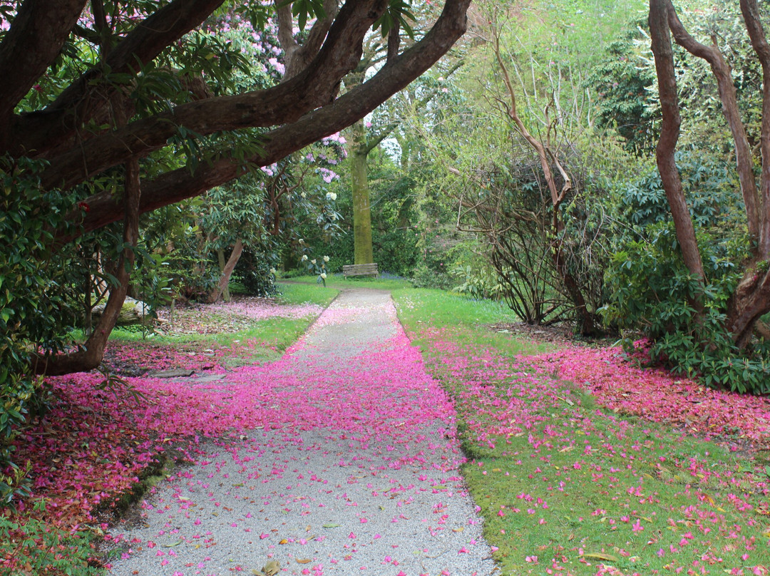 Tregrehan Garden-Par必去景点