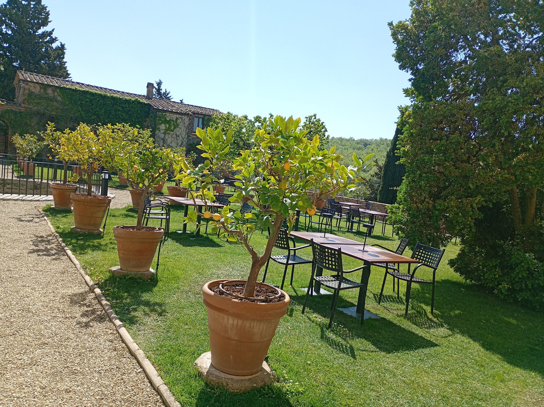 Monastero di Sant'Anna in Camprena-皮恩扎必去景点