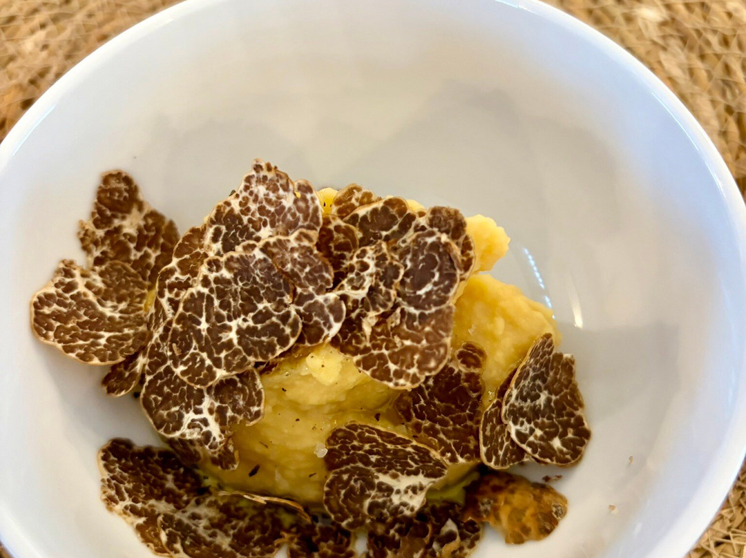 Truffle in Tuscany-圣米尼亚托必去景点