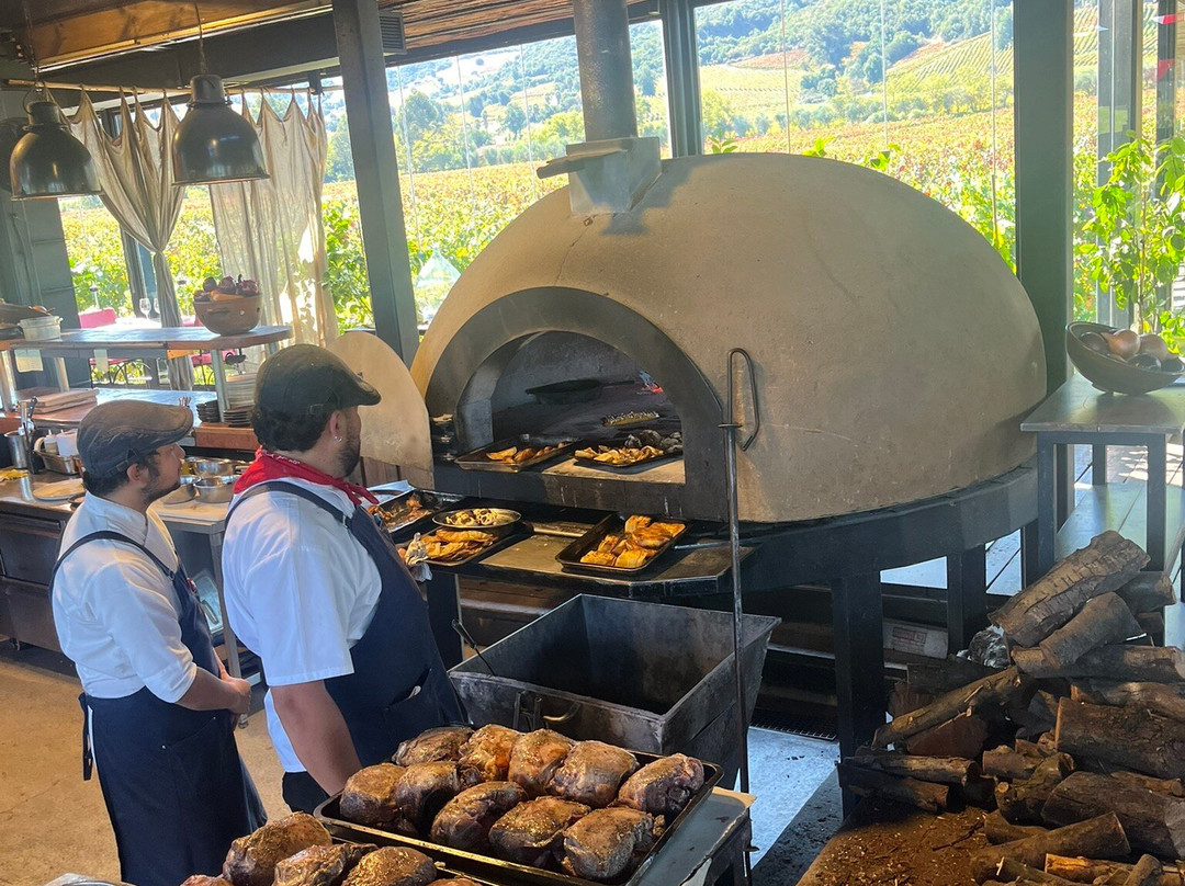 Colchagua Wine Tours-圣克鲁斯必去景点