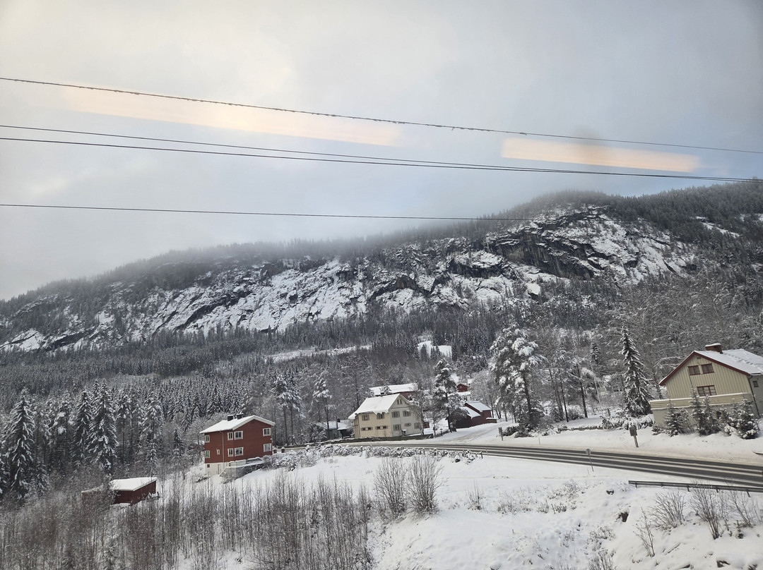 Norway in a nutshell®-卑尔根必去景点