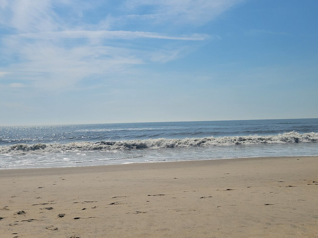 Assateague Island NS-VA Unit-Chincoteague必去景点