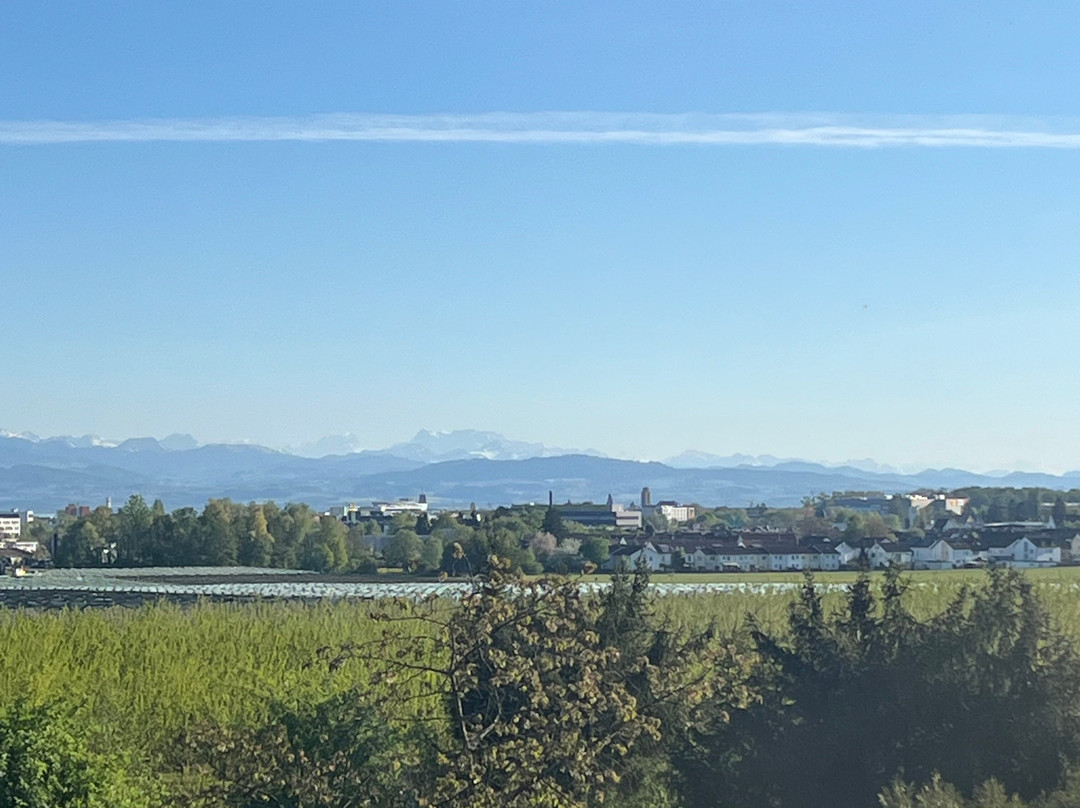 Landhotel Gerbehof主图
