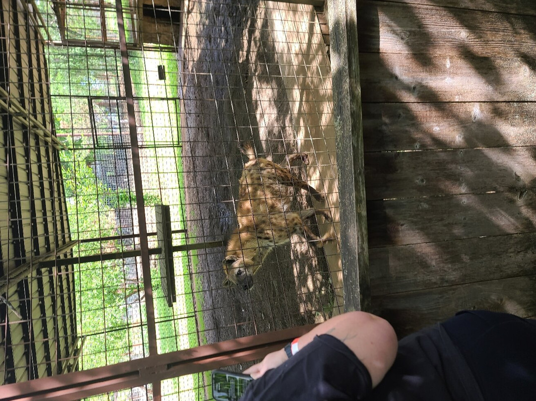Safari Zoological Park-Caney必去景点
