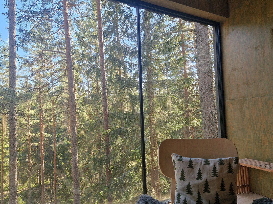 Trakt Forest Hotel主图