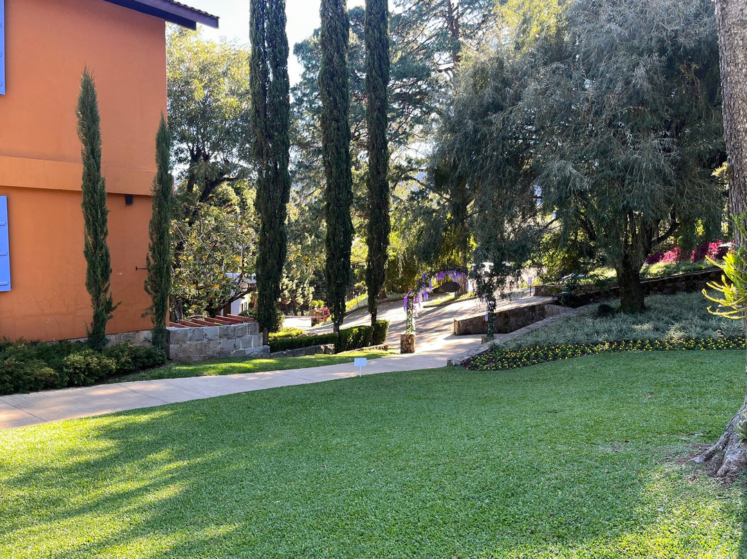 Le Jardin Parque de Lavanda-格拉玛多必去景点
