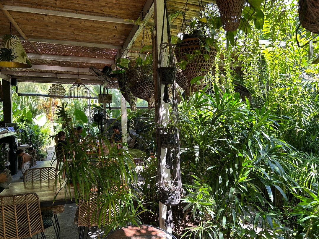 Rimba Cafe
