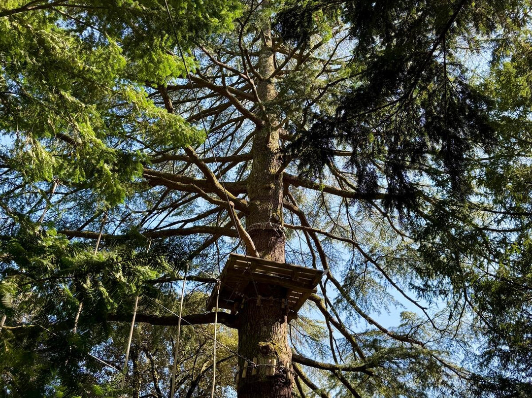 Parco Avventura Val Di Vara-Tavarone必去景点