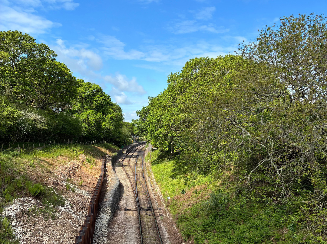 Swanage Railway-斯沃尼奇必去景点