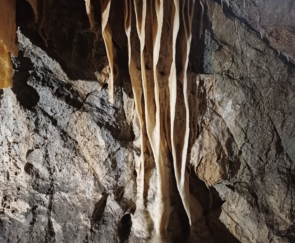 Grotta Antro del Corchia-Levigliani必去景点