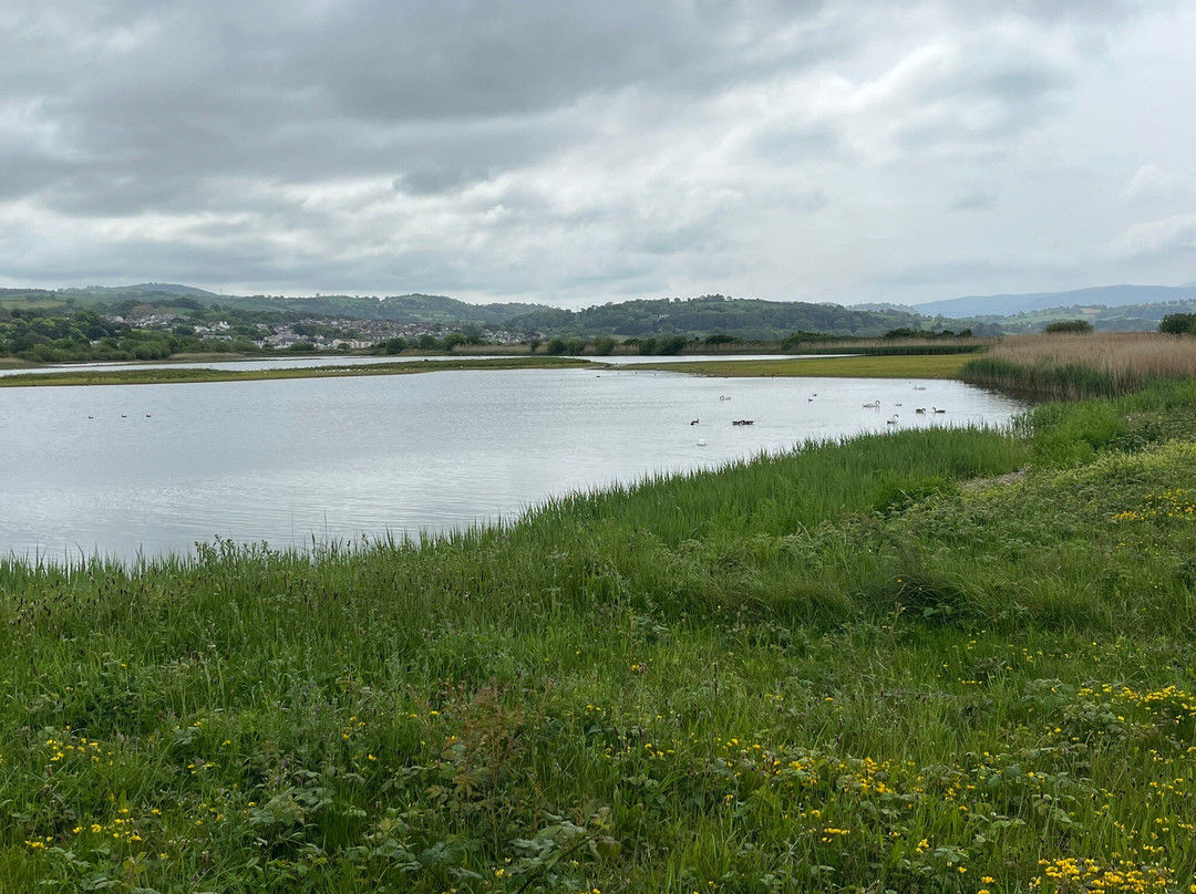 RSPB Conwy Nature Reserve-Llandudno Junction必去景点
