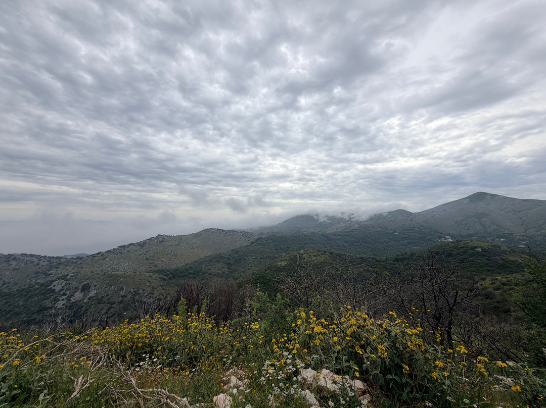 Quad Corfu Adventure-Acharavi必去景点