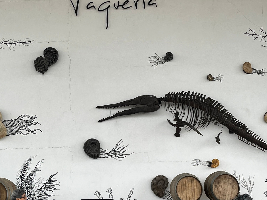 Viñedo San Juan De La Vaqueria-萨尔蒂必去景点
