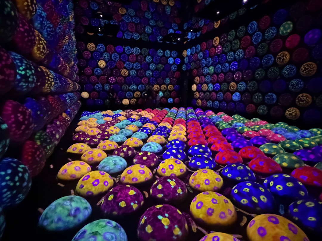 teamLab Planets TOKYO-Toyosu必去景点