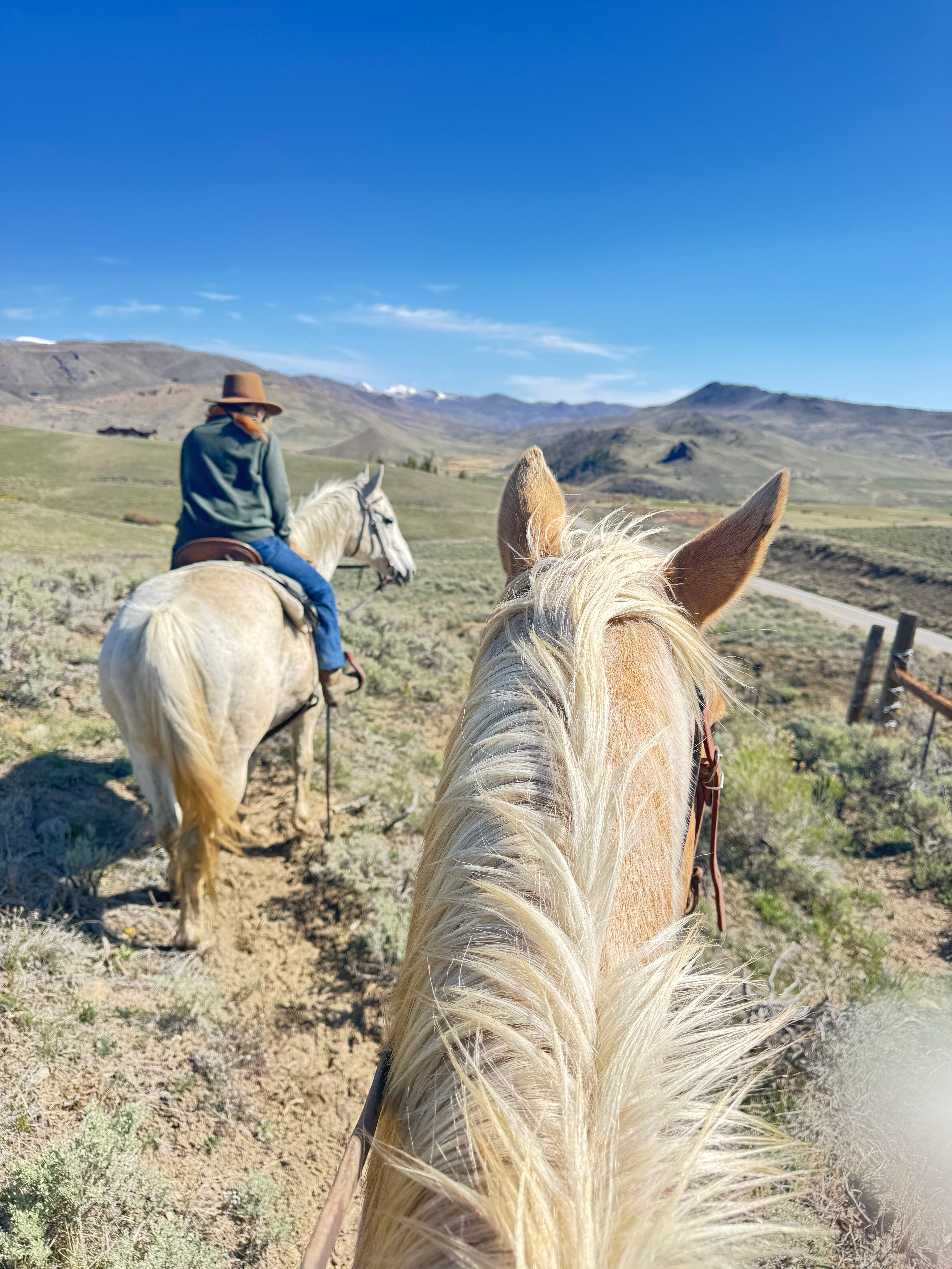 C Lazy U Ranch-旅行者