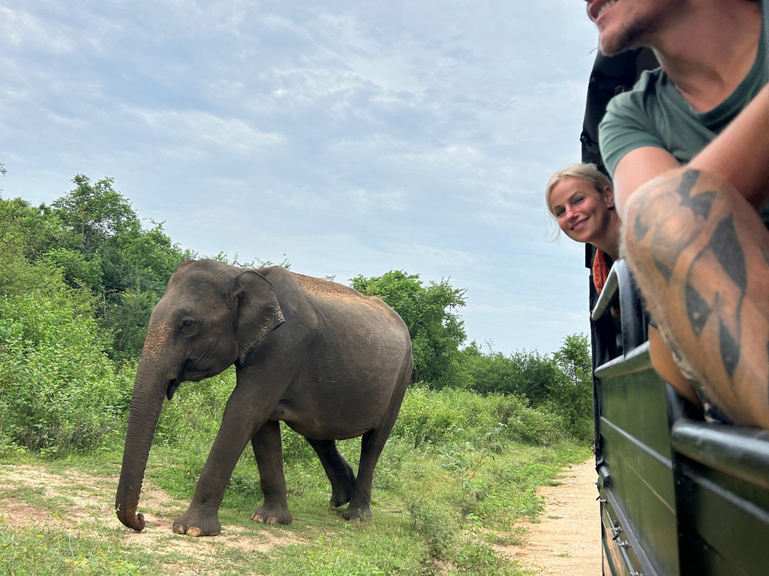 Udawalawe Safari Kingdom-乌达瓦拉瓦必去景点