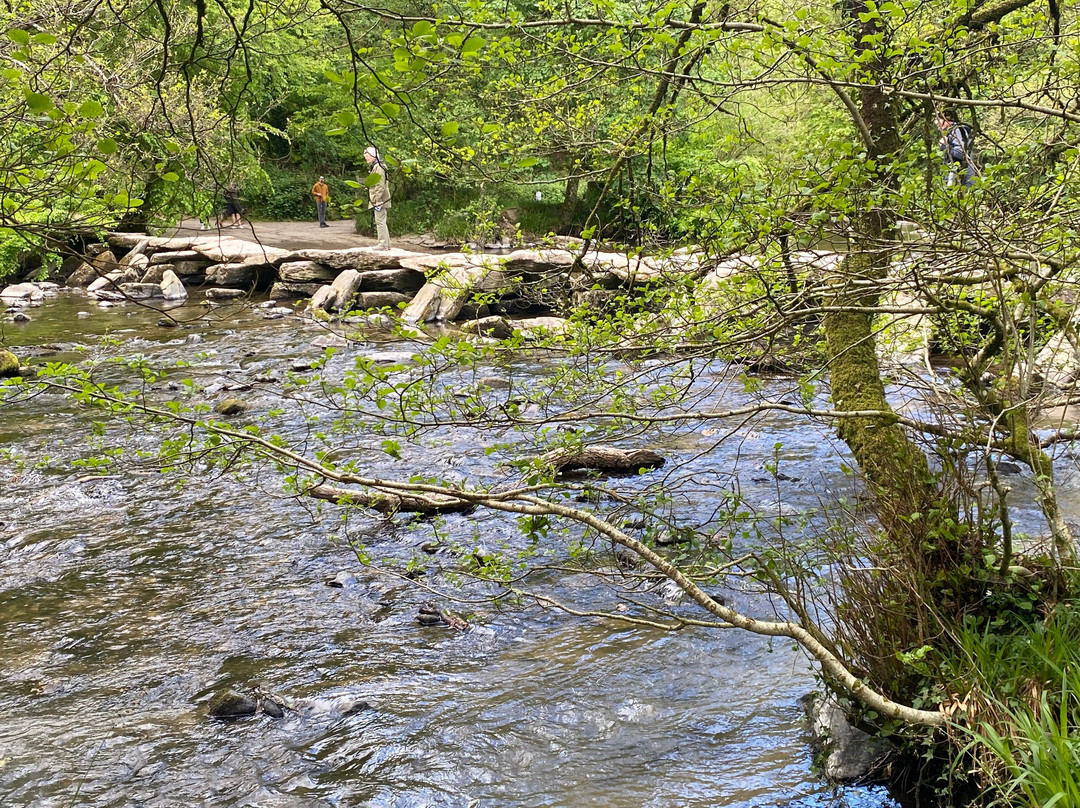 Exmoor Wildlife Safaris-Dunster必去景点