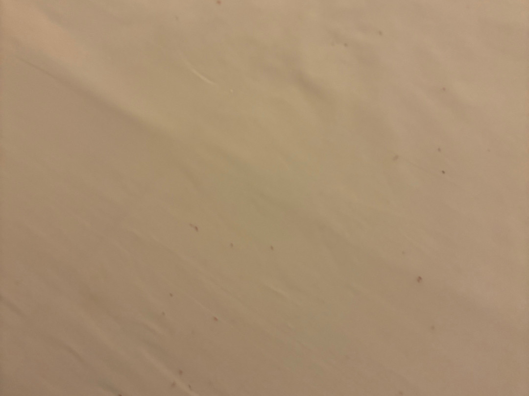 大西洋城秀船酒店主图