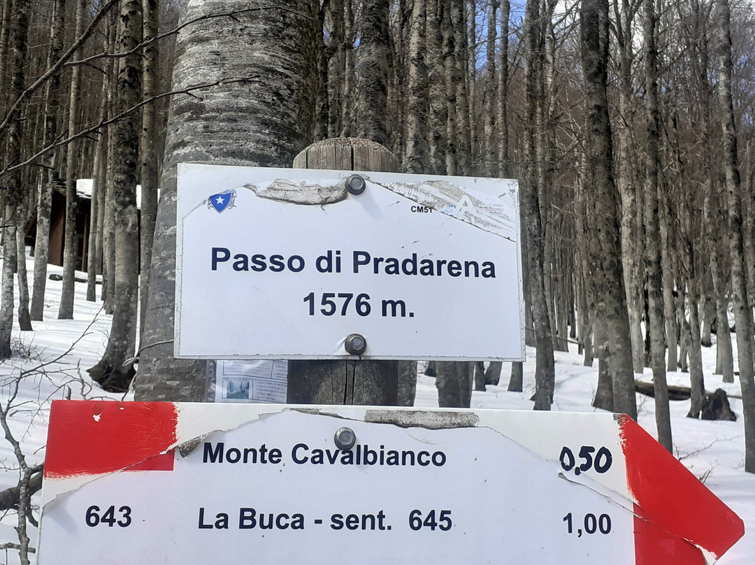 Passo di Pradarena-Ligonchio必去景点