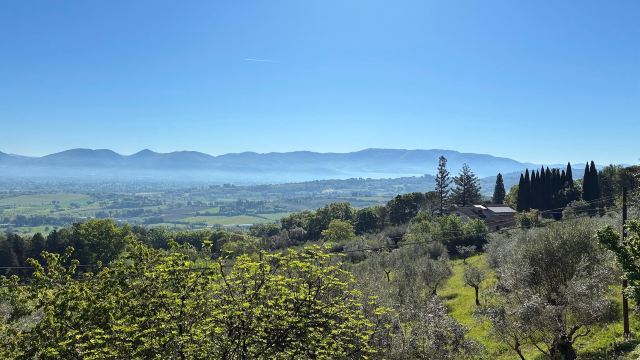 Agriturismo Etico le Grazie-酒店景观