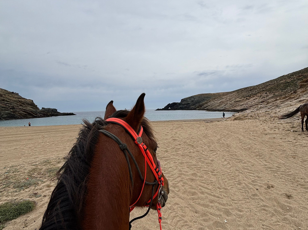 Mykonos Horseland-米科诺斯必去景点
