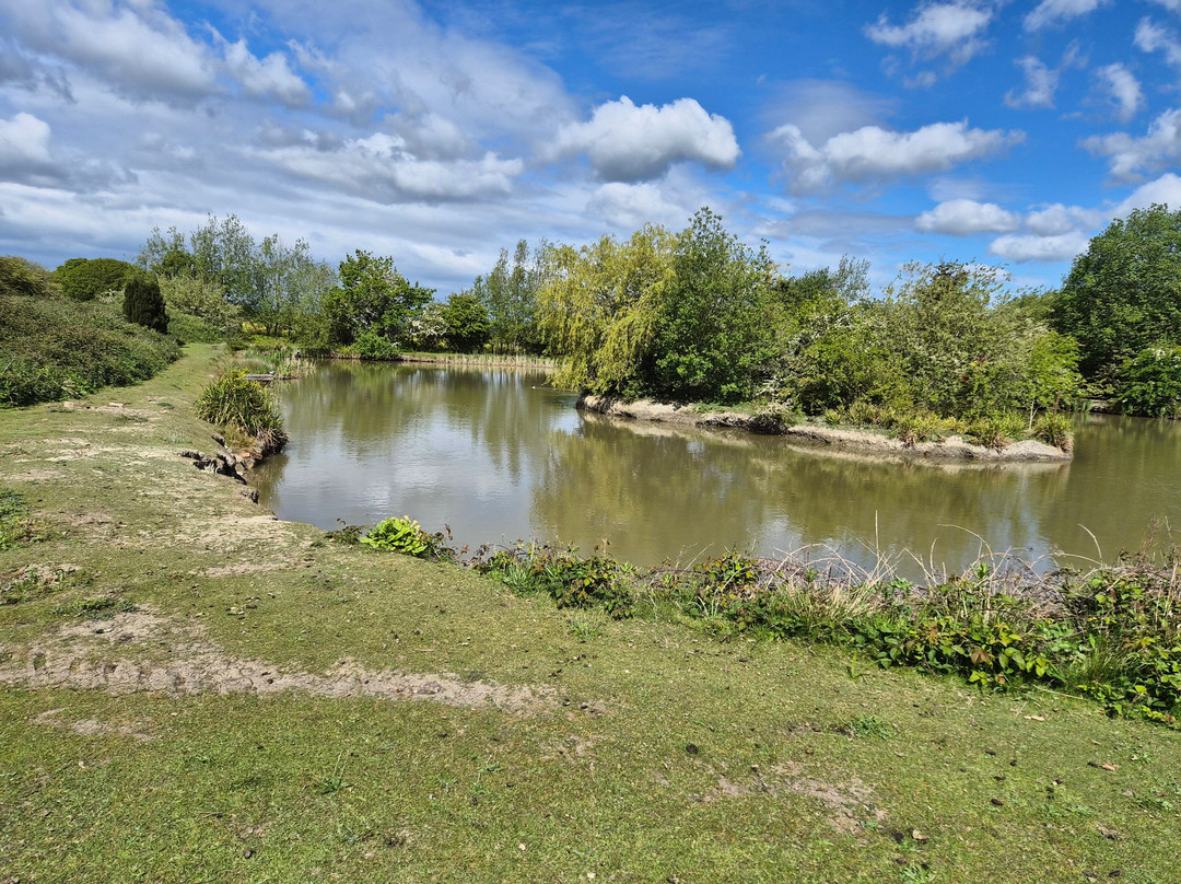 Driftwood Lodges Glamping