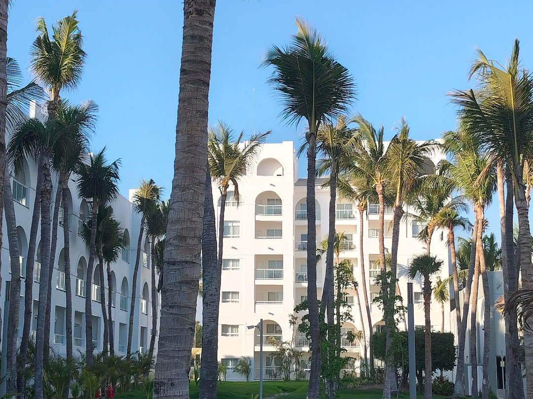 Hotel Riu 哈利斯科 - 全包主图
