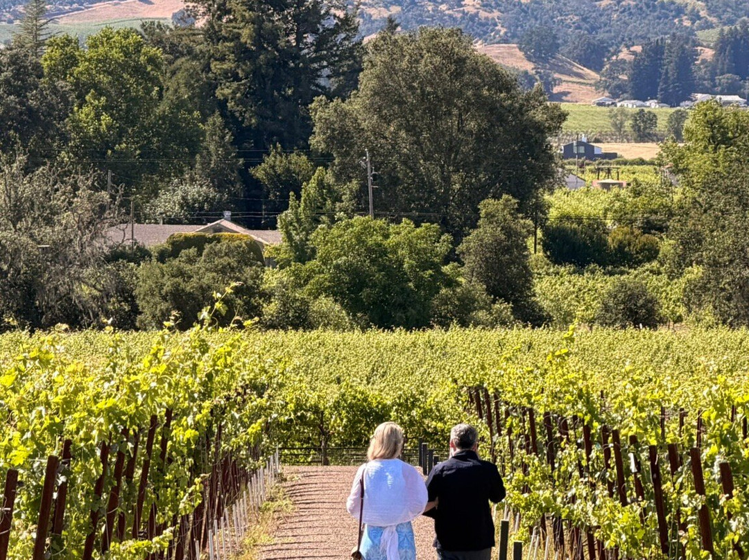 Silver Oak Cellars-奥克维尔必去景点