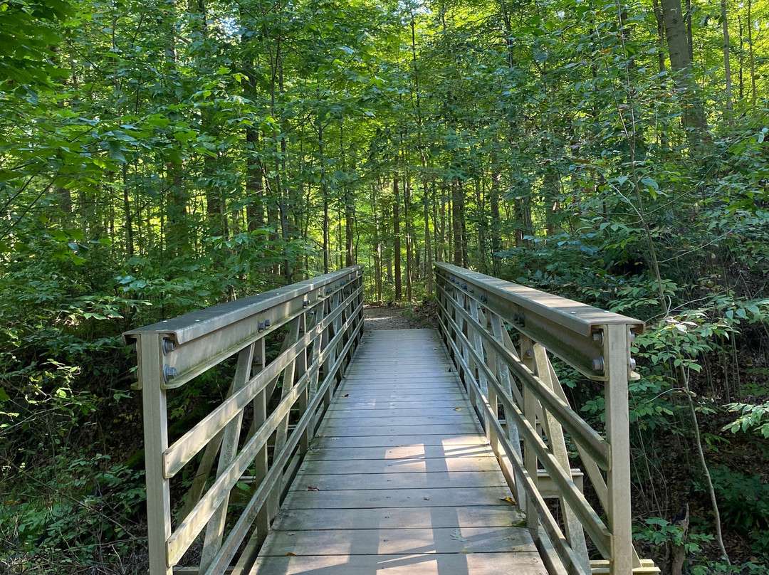 Brandywine Falls-Sagamore Hills必去景点