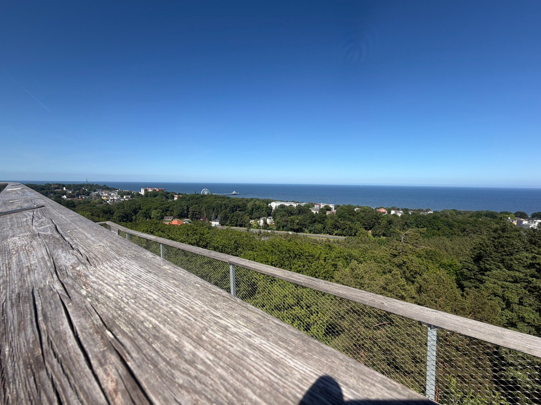 Baumwipfelpfad Usedom-塞巴特黑灵斯多夫必去景点