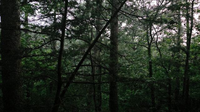 尤里卡日落小木屋-旅行者