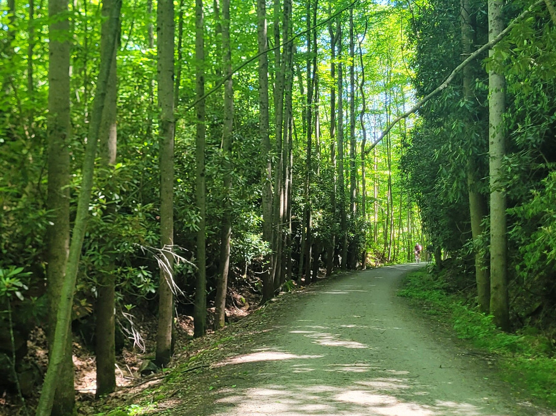 Discovery Bicycle Tours-伍德斯托克必去景点
