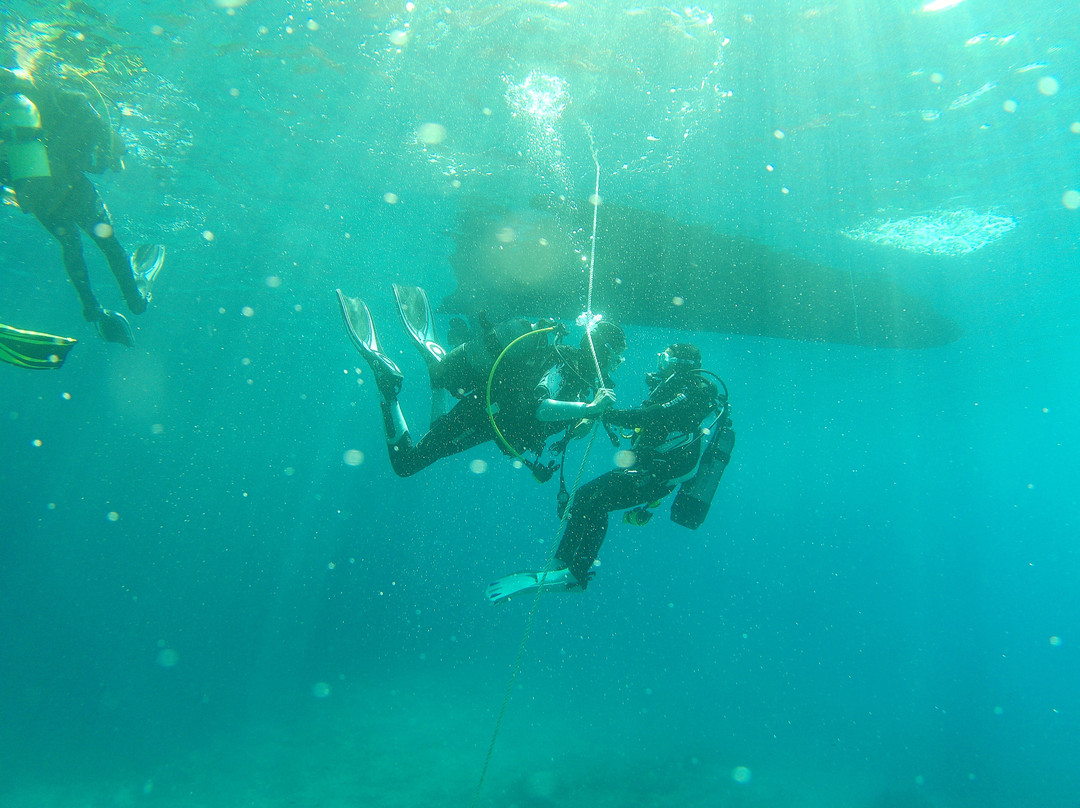 East Coast Divers Mallorca-Portocolom必去景点